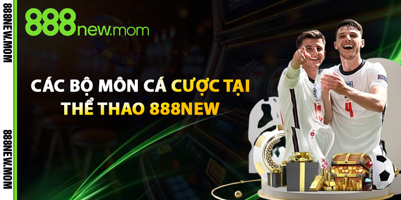 Các Bộ Môn Cá Cược Tại Thể Thao 888New