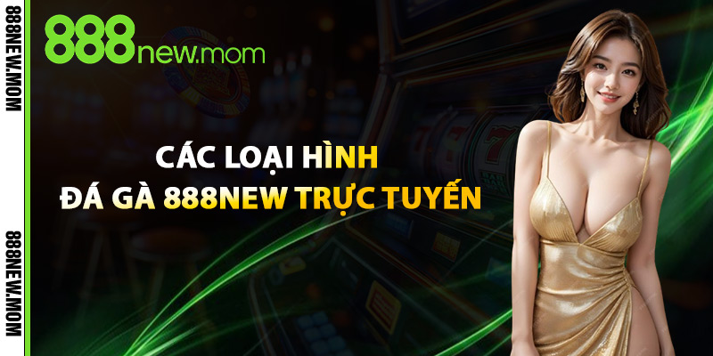 Các Loại Hình Đá Gà 888New Trực Tuyến