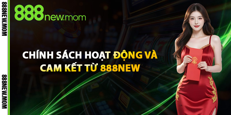 Chính Sách Hoạt Động Và Cam Kết Từ 888New