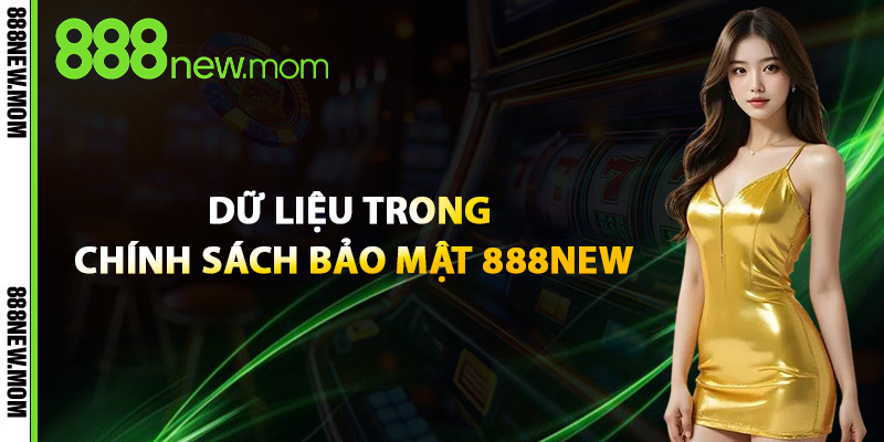 Dữ Liệu Trong Chính Sách Bảo Mật 888New