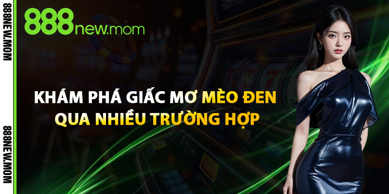 Khám Phá Giấc Mơ Mèo Đen Qua Nhiều Trường Hợp