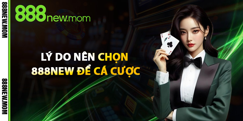 Lý do nên chọn 888New để cá cược