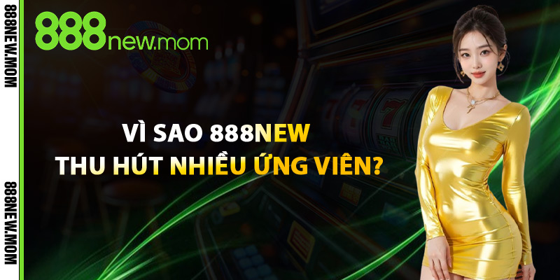 Vì Sao 888New Thu Hút Nhiều Ứng Viên?