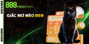 giấc mơ mèo đen